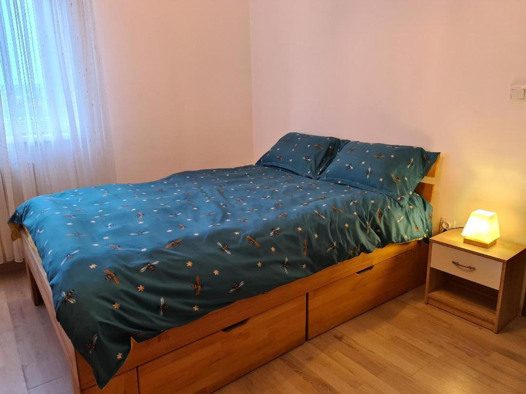 Central Cosy Apart Oradea Apartment Bagian luar foto