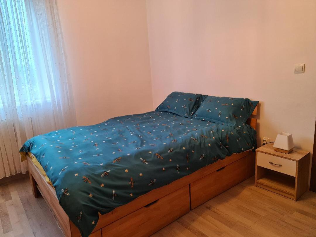 Central Cosy Apart Oradea Apartment Bagian luar foto