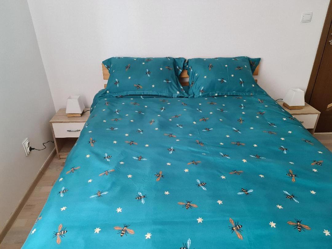 Central Cosy Apart Oradea Apartment Bagian luar foto