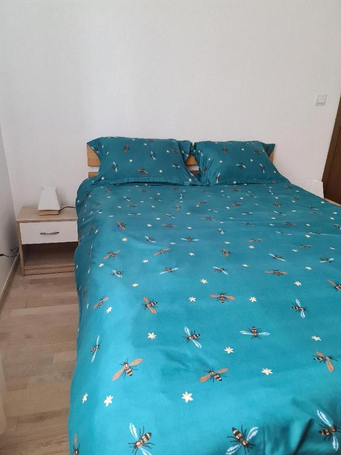 Central Cosy Apart Oradea Apartment Bagian luar foto